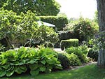 dining patio behind hornbeam hedge in wall alcove